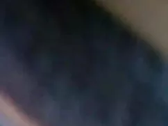 DESTROY हिंदी सेक्सी ...