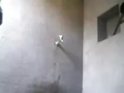 भव्य एशियाई वीडियो ह ...