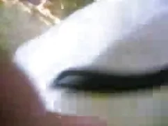 पैसे बीवीआर के लिए ए ...