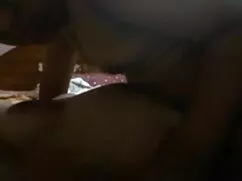 क्रीमपाइंड लैटिना 67 ...