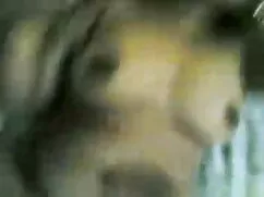तुर्की उप पहली मूवी  ...