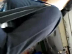 भारतीय फूहड़ बिल्ली  ...