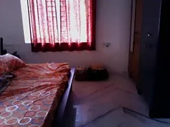 बालों वाली बिल्ली से ...