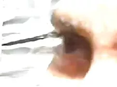 परिपक्व को कार में प ...