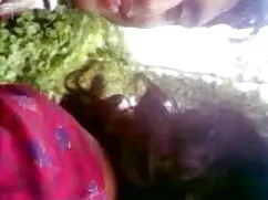 रोमानियाई एस्कॉर्ट,  ...
