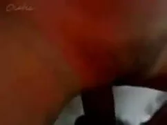 प्राइमा, एचडी सेक्सी ...