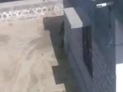 एक कठिन मुर्गा के लि ...