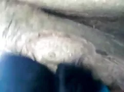 गर्मी में लैटिना सेक ...