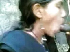 अंडजेला वेस्टिका मित ...
