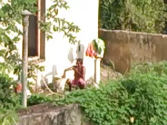 फेडेरिका टॉमासी सी प ...