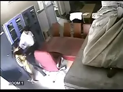 यूरोट्रैश !! प्यूमा  ...
